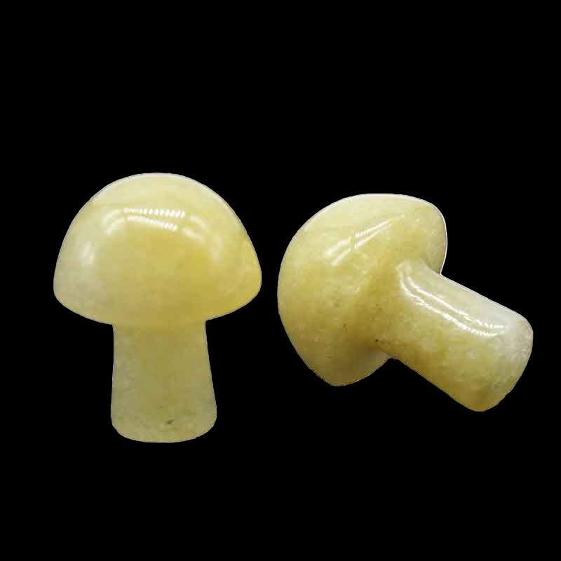 Two yellow mushrooms on a white background