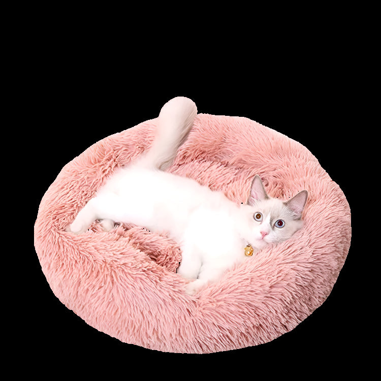 White cat with a gold tag on a fluffy pink pet bed against a pink background