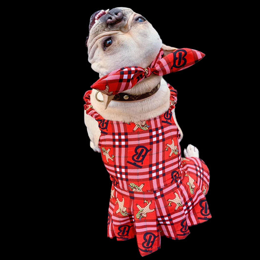 Dog wearing a red plaid outfit with a matching bandana on a gray pavement background