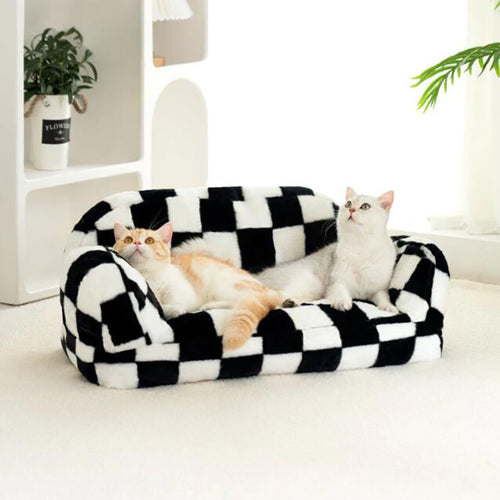 Two cats on a black and white checkered pet bed in a room with plants and shelves.