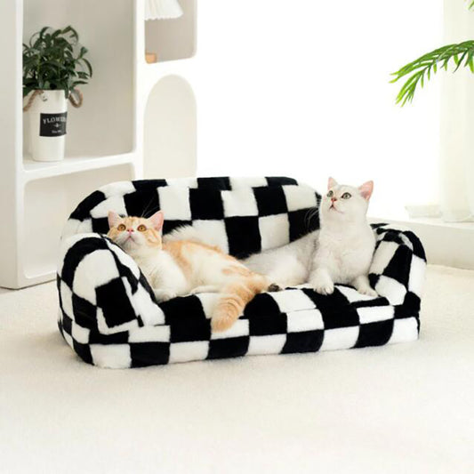 Two cats on a black and white checkered pet bed in a room with plants and shelves.