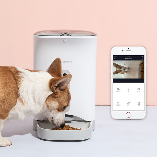 Dog eating from an automatic pet feeder with a smartphone app displayed on a pink background