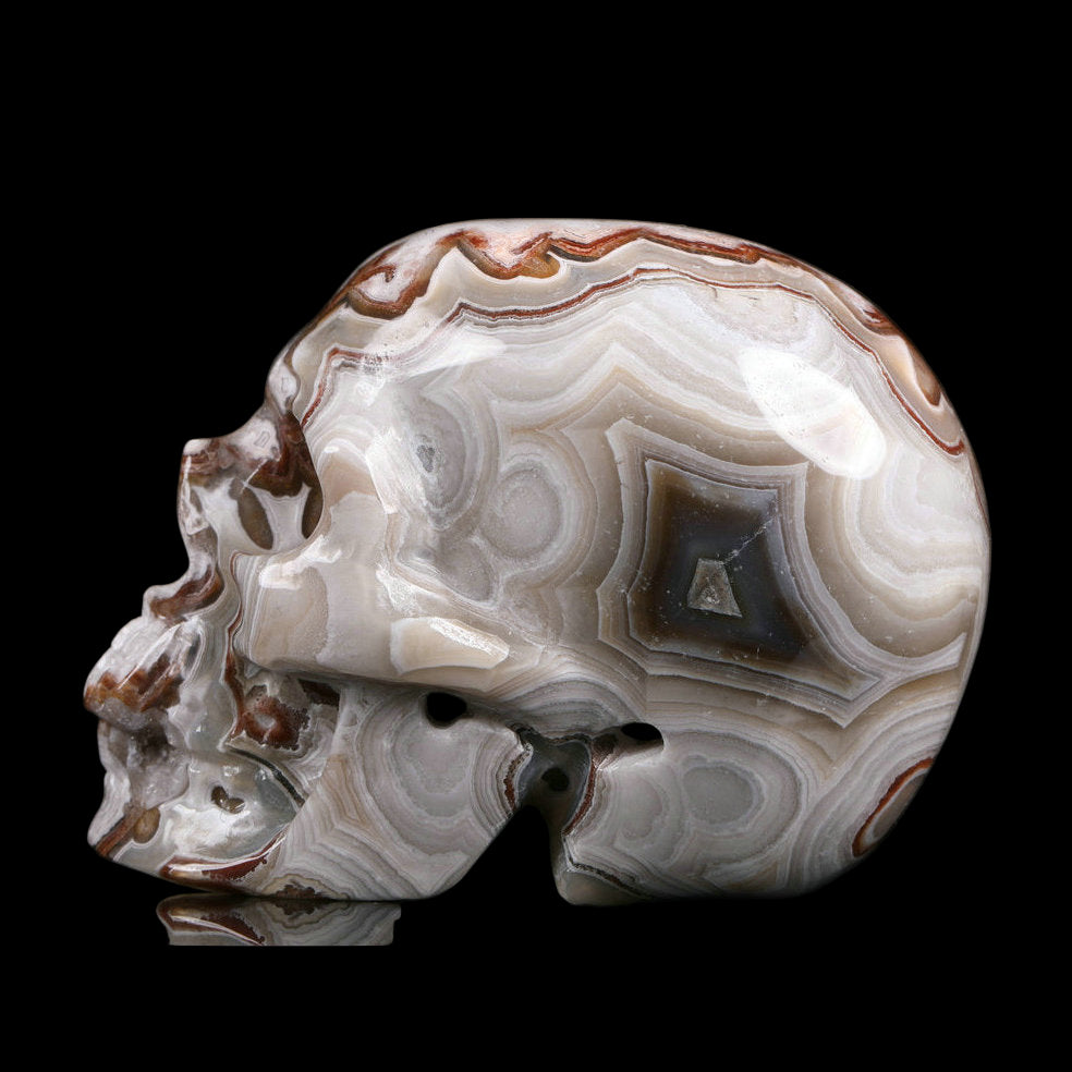 Marble-patterned skull sculpture with size and weight information on a black background