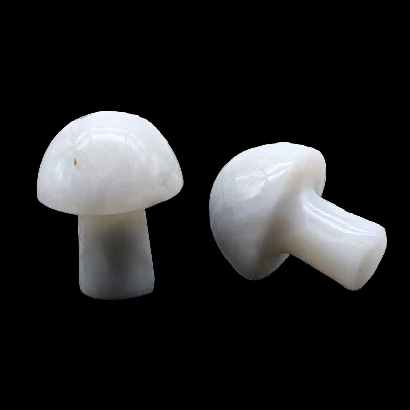 Two white ceramic mushroom-shaped objects on a white background