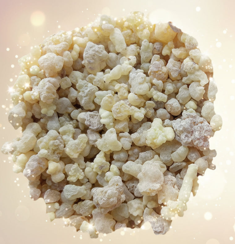 Close-up of a pile of light-colored resin-like substance in a clear container.