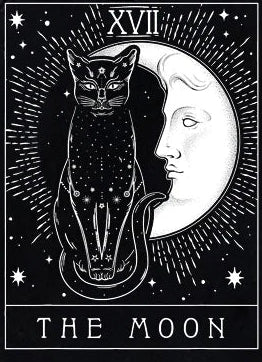 Person wearing a black t-shirt with a cat and moon design, labeled 'The Moon'.