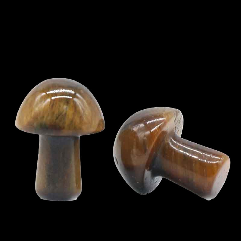 Two brown mushroom-shaped objects on a white background