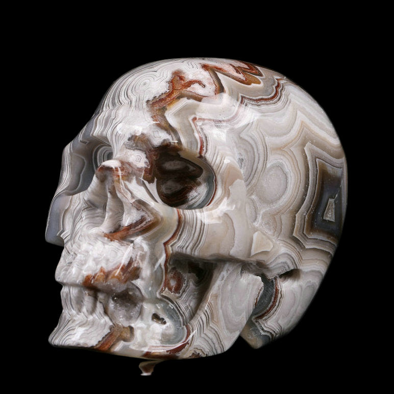 Marble-like skull sculpture on a black background