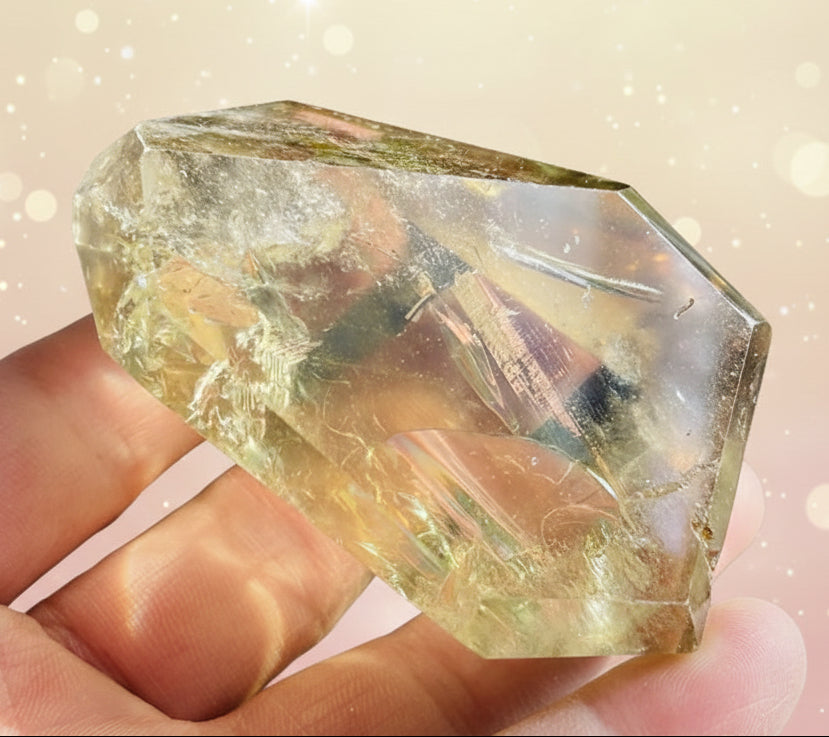 Hand holding a clear crystal with green foliage in the background