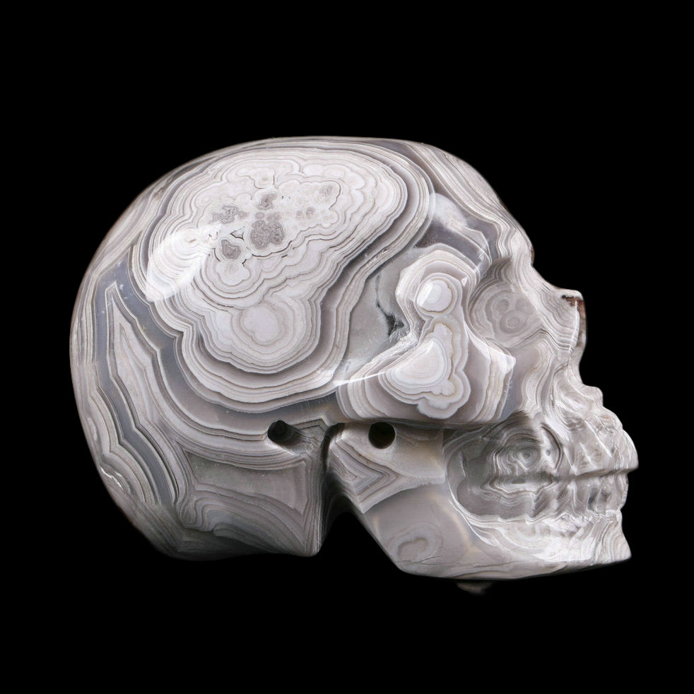 Marble-patterned skull sculpture on a reflective surface with a black background