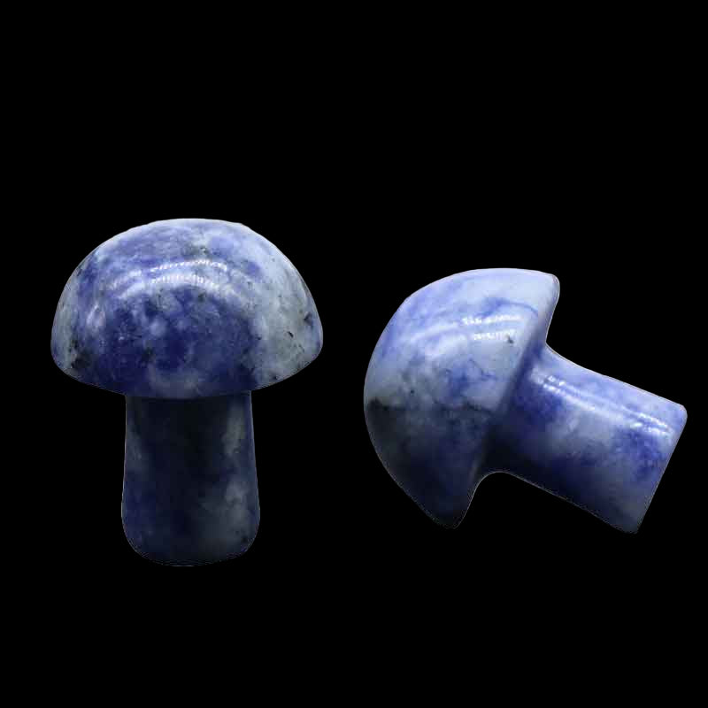 Two blue stone mushrooms on a white background