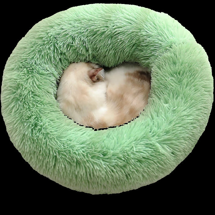 Small animal, likely a ferret, curled up inside a green plush donut bed on a white background.
