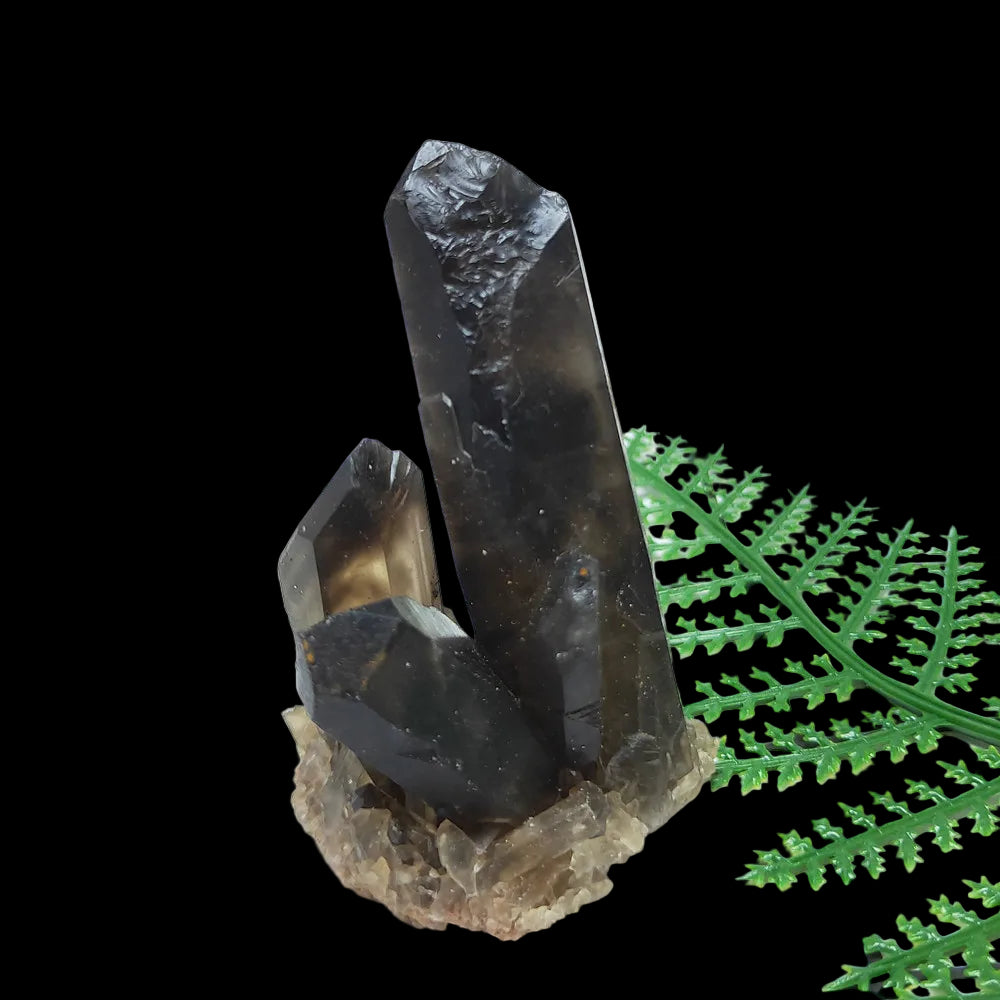 Smoky quartz crystal on a grid background with green leaves