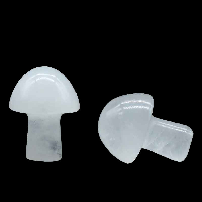 Pair of white earplugs on a white background
