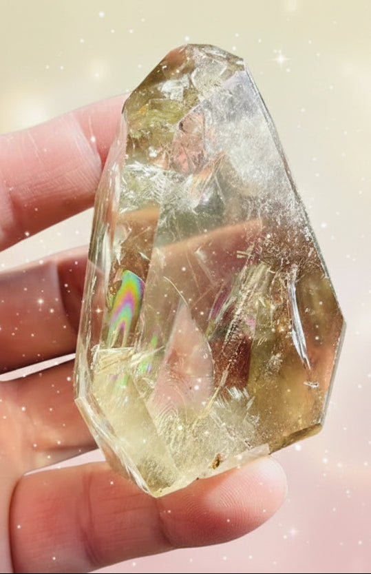 Hand holding a large crystal with a plant in the background