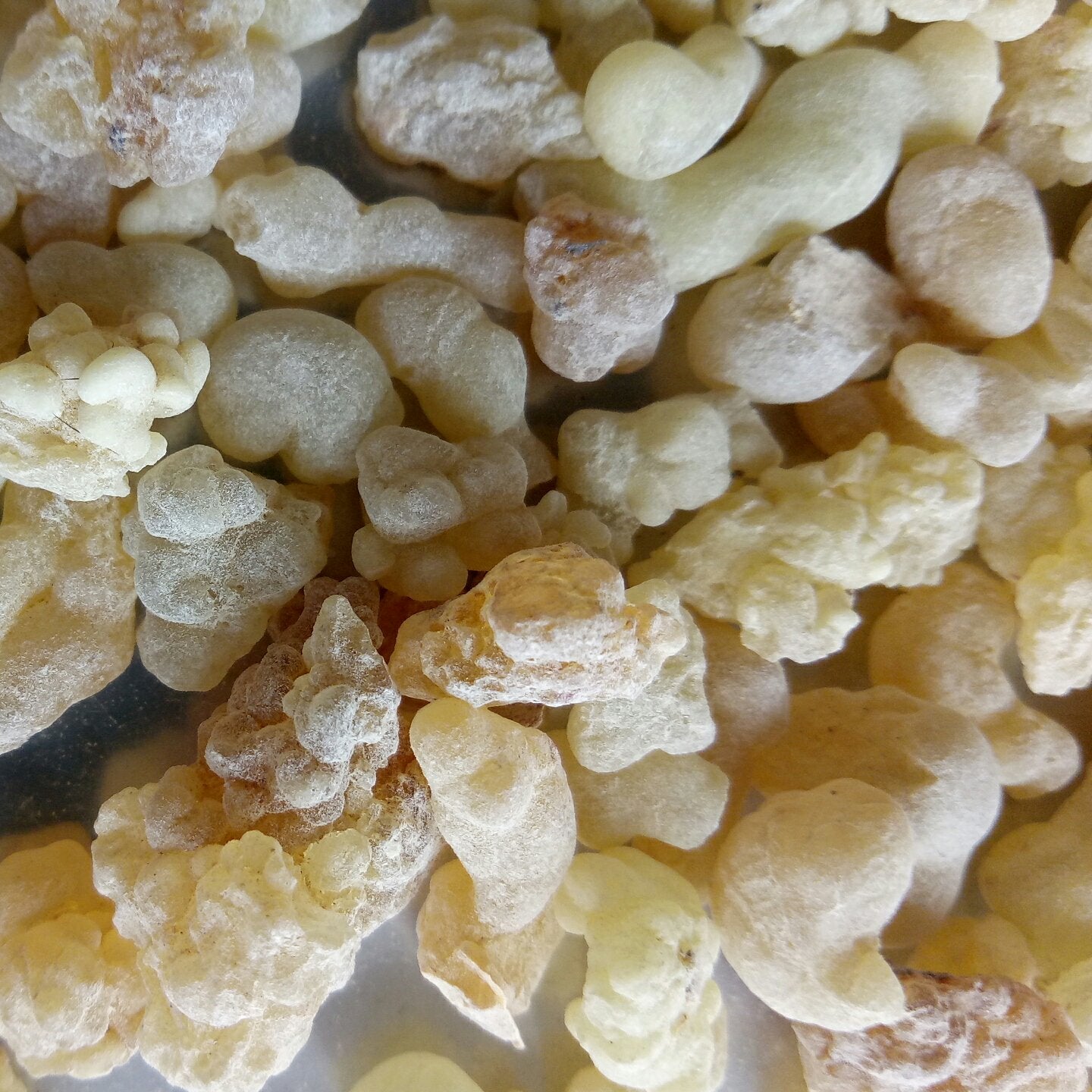 Close-up of amber-colored resin or frankincense pieces.