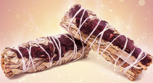 Two smudge sticks tied with white string on a white background