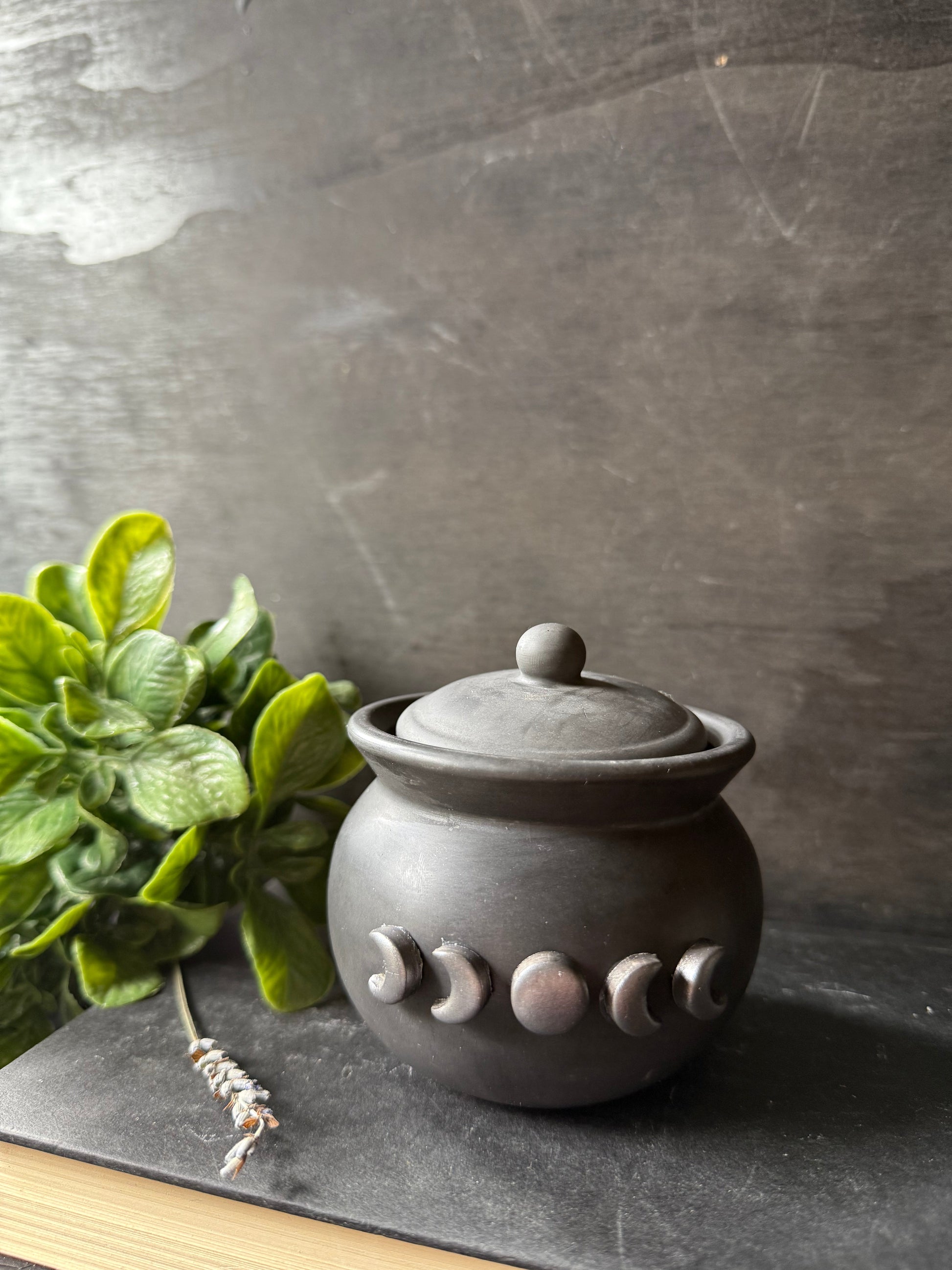 Ceramic jar with moon phase design on a dark surface with a plant in the background
