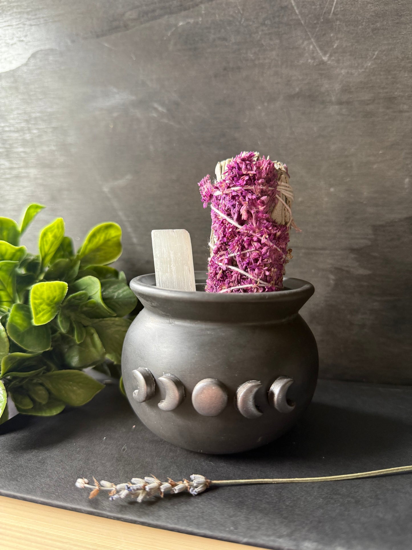 Ceramic pot with purple sage and wooden stick on a gray surface with green plant.