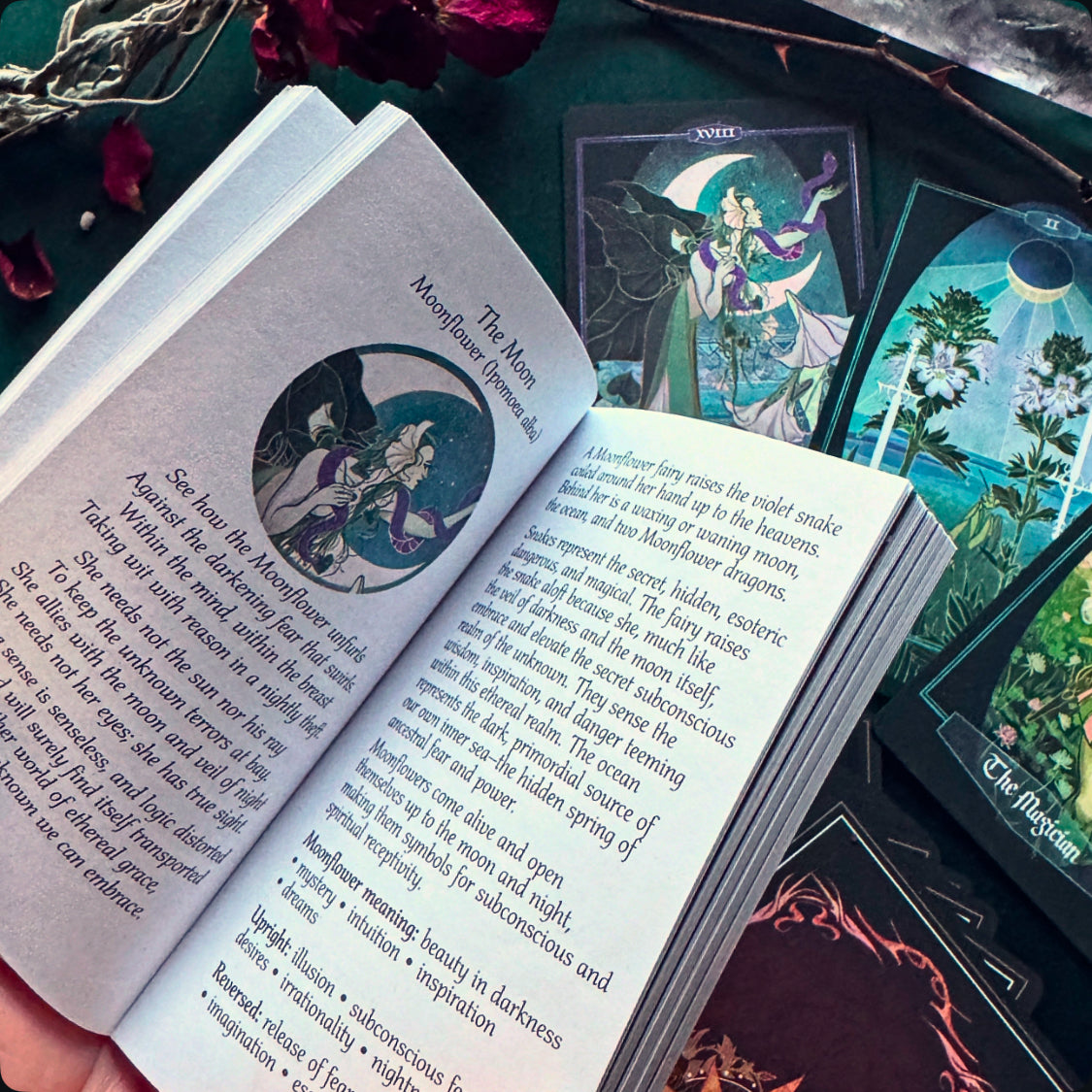 An open tarot deck booklet titled 'The Moon' is held in a hand, showing printed text and illustrated pages, with several matching illustrated cards fanned out behind it on a dark surface.