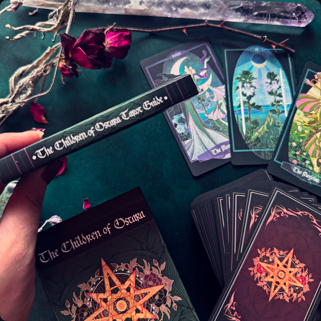A hand holds a tarot deck box labeled 'The Children of Osuna Tarot Deck' over a dark green surface with several illustrated tarot cards and the deck fanned out. Dried red flowers and a crystal are placed around the setup.