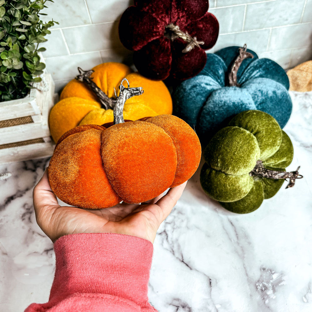 Velvet Pumpkins - Lucky Girl Gifts