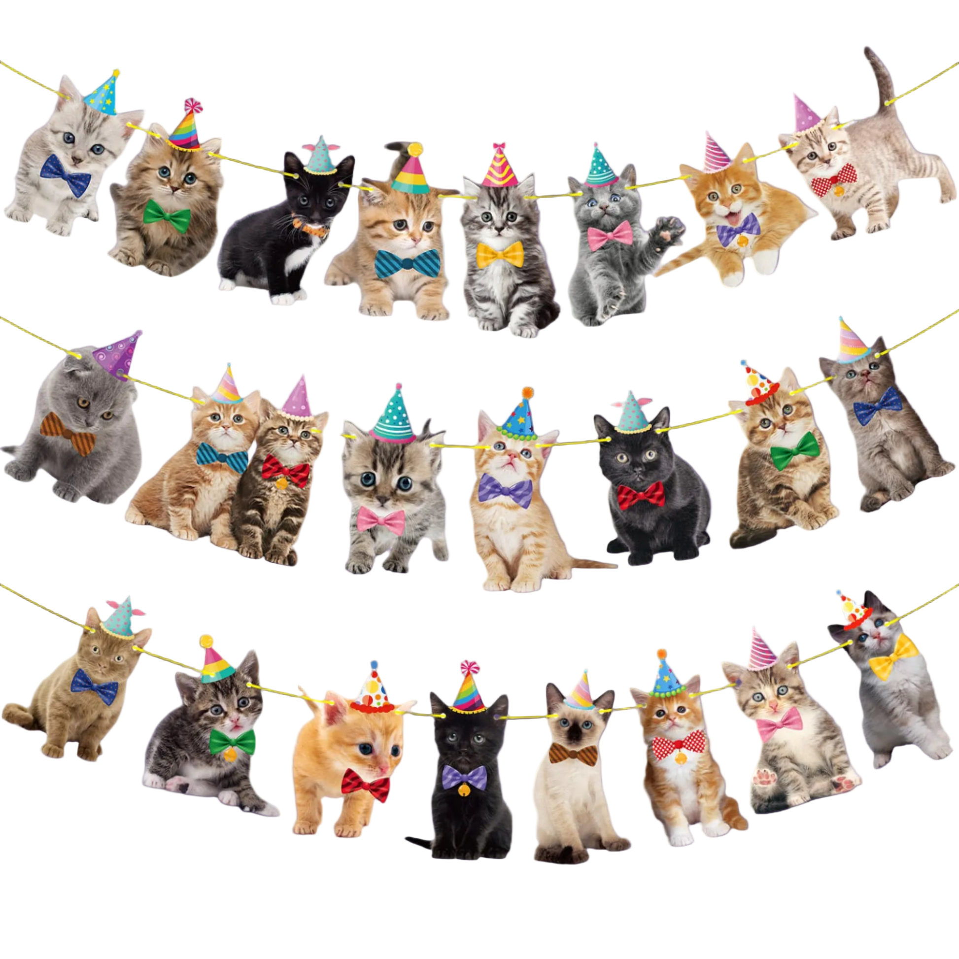 Multiple cats wearing party hats and bow ties on a string against a white background