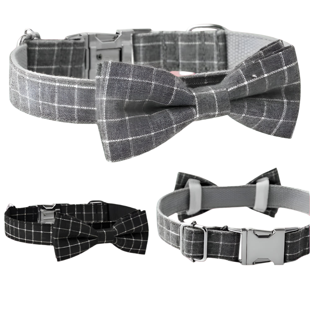 Plaid dog collar with bow tie on a white background
