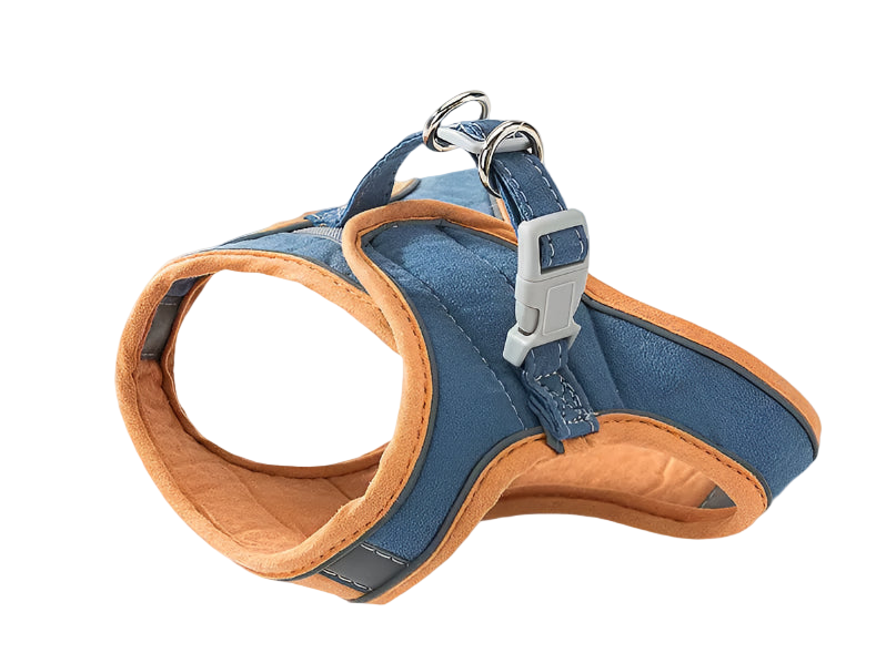 Blue and brown dog harness on a blue background