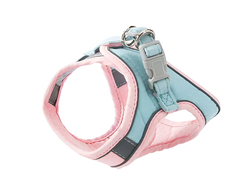 Pet harness with pink trim on a light blue background