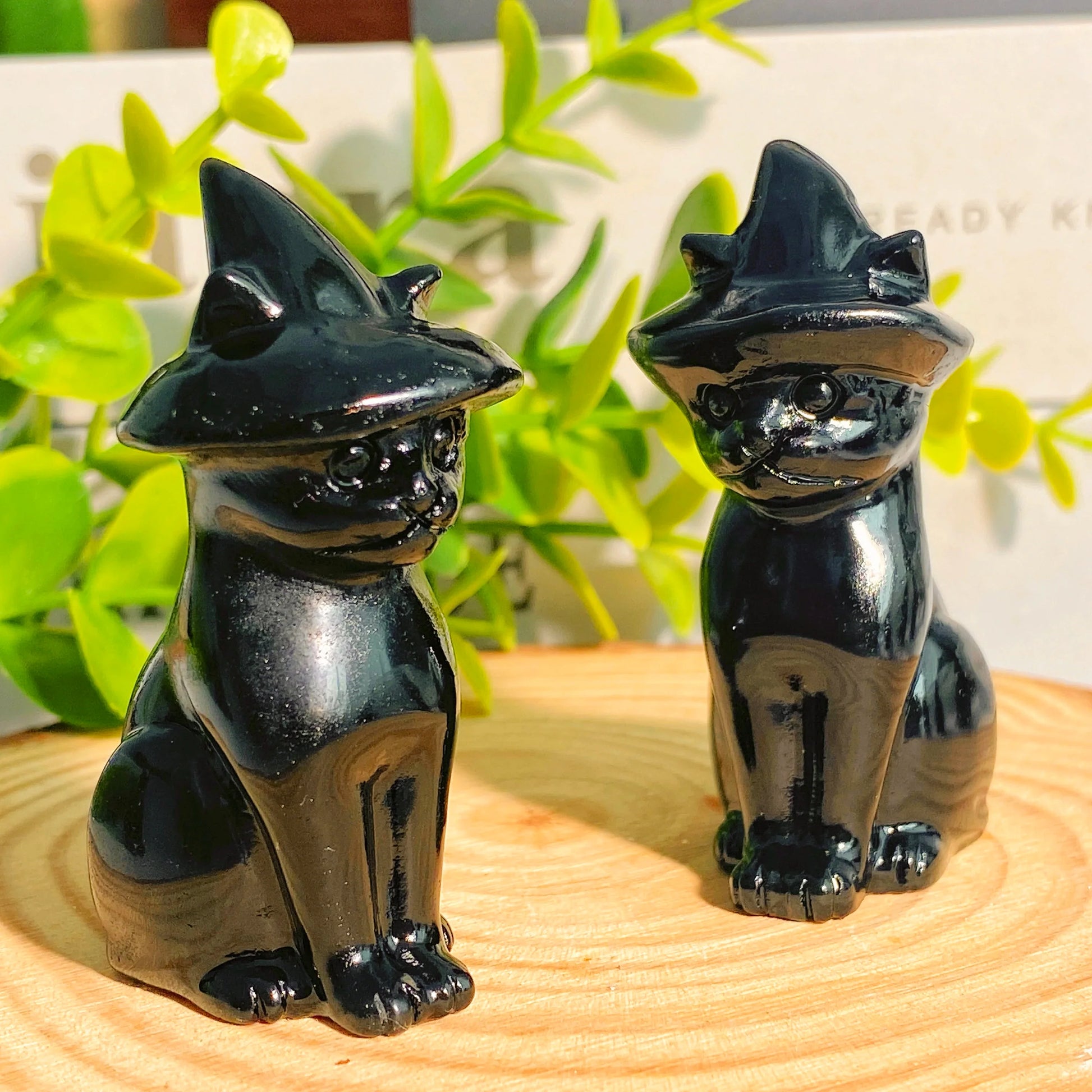 Two black cat-shaped salt and pepper shakers on a wooden surface with green plants in the background.