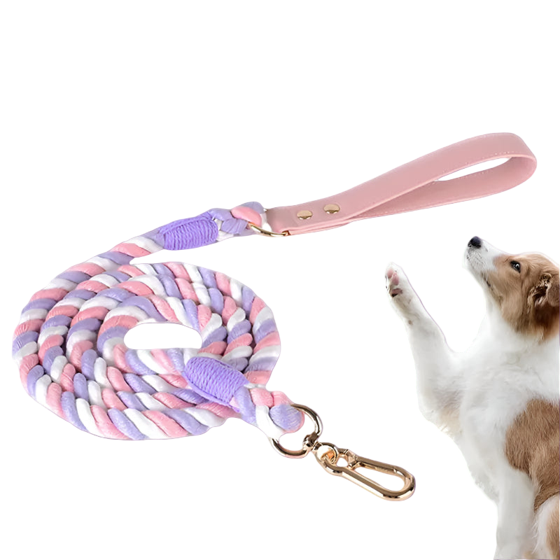 Dog leash with pink handle and colorful rope, next to a dog on a white background