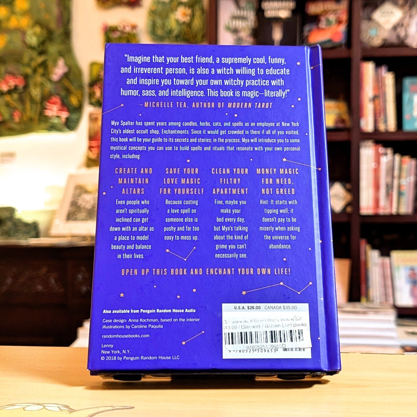 Back cover of a book with text and design elements on a blurred background