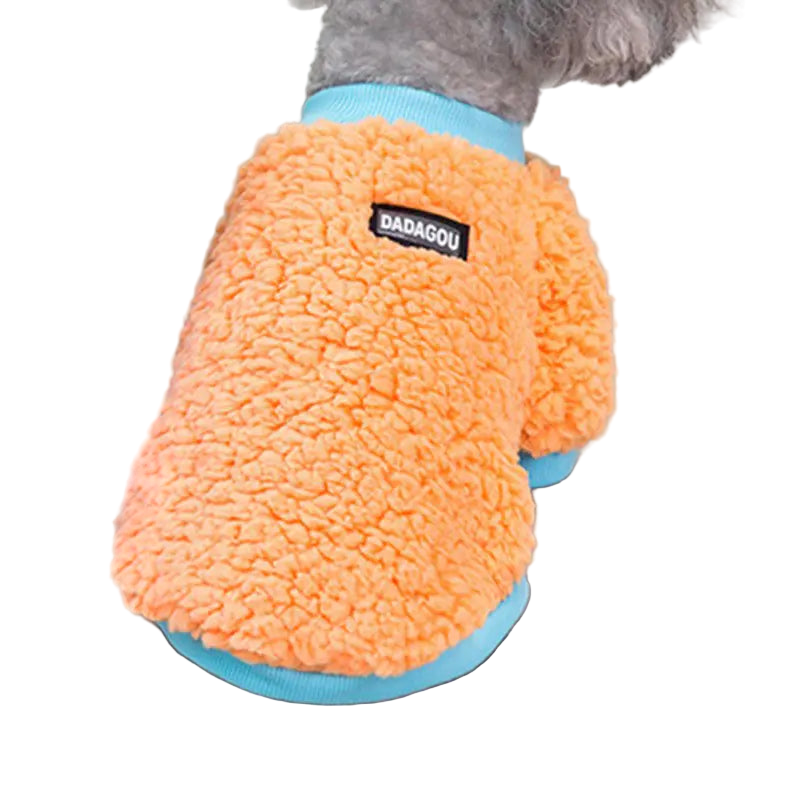 Dog wearing an orange fleece sweater with a blue collar, sitting on a gray surface.
