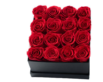 Box of red roses on a white background