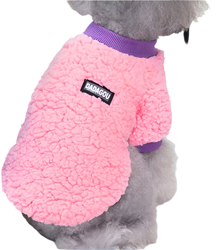 Dog wearing a pink fleece sweater with a purple collar, sitting on a white surface.