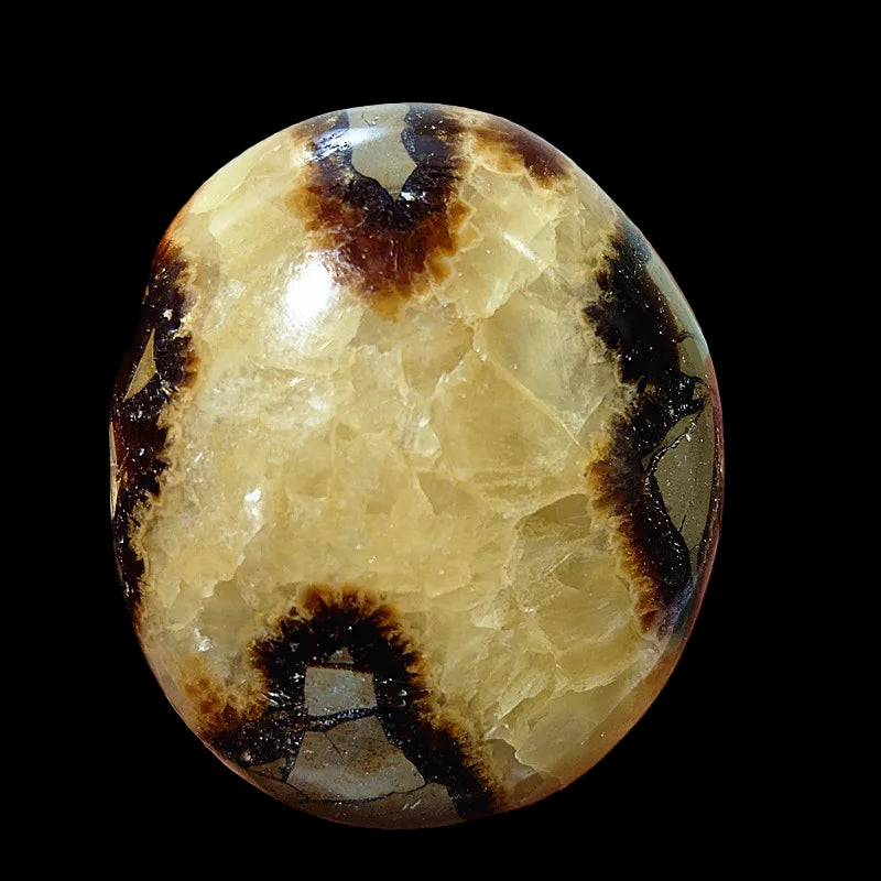 Polished stone with brown and beige patterns held in a hand against a blurred background