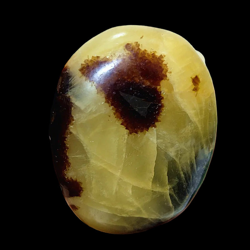 Hand holding a yellowish-green stone with brown spots against a white background