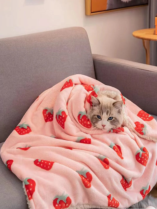 Cat peeking out from under a pink blanket with strawberry pattern on a gray couch.