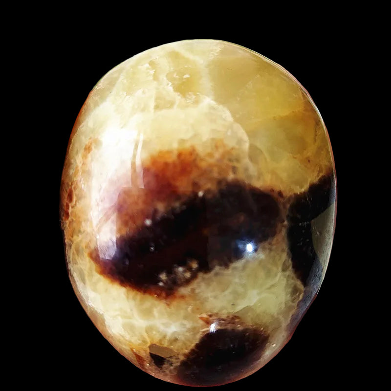 Polished stone with brown and black patterns held in a hand, with green leaves in the background