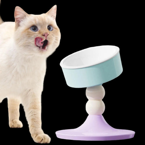 Cat next to a colorful pet stand on a white background