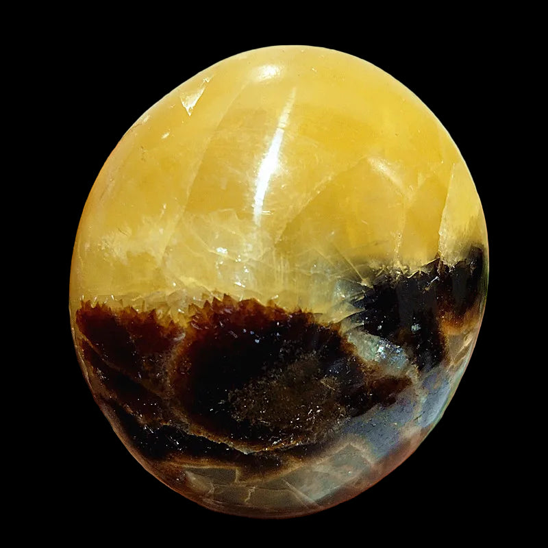 Polished yellow and brown stone held in a hand against a neutral background