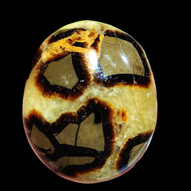 Polished stone with brown and black patterns held in a hand against a blurred natural background