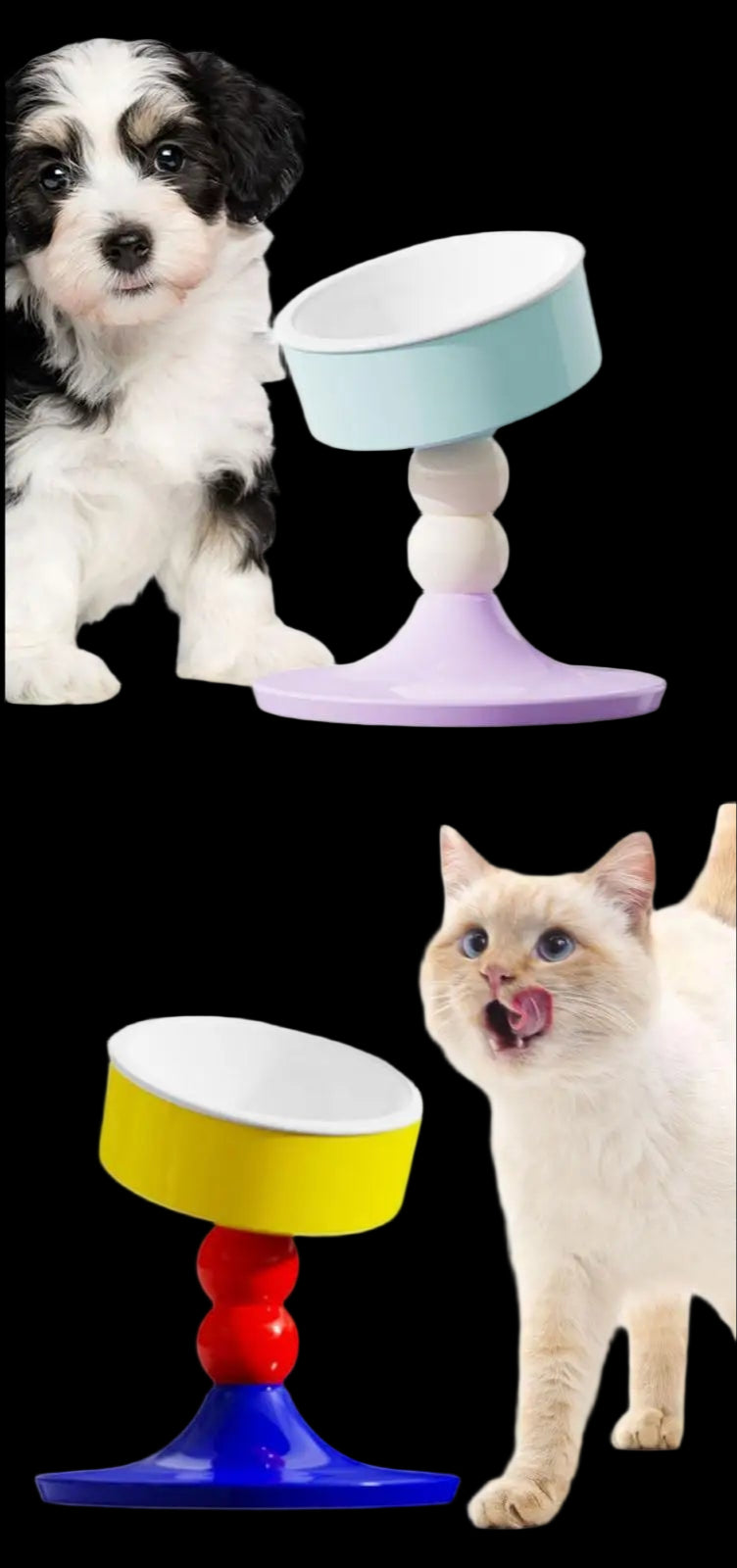 Colorful pet toy with a dog and cat on a white background