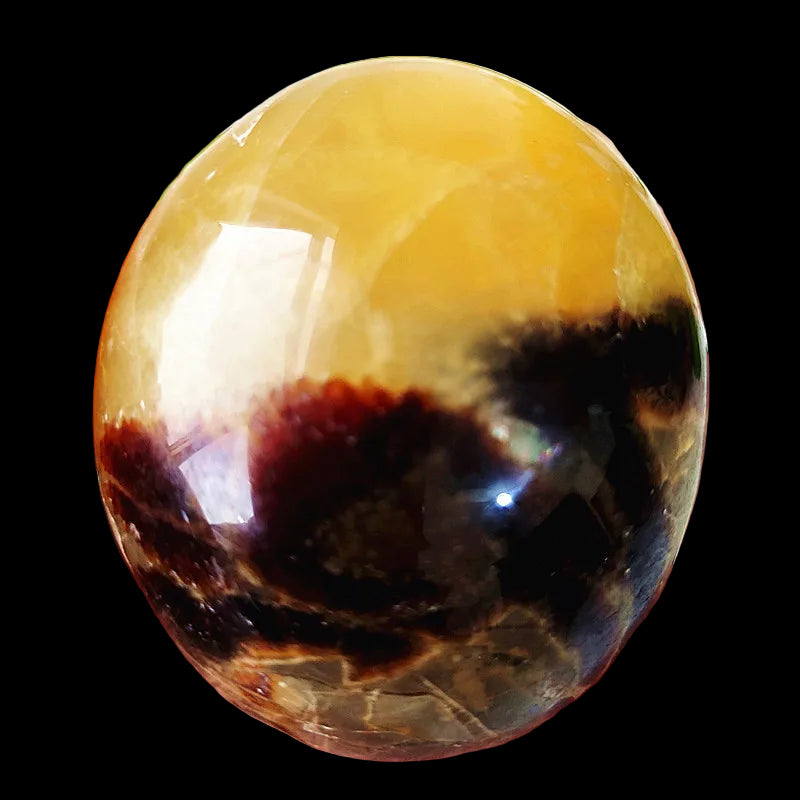 Polished multicolored stone held in a hand with a blurred green leaf background