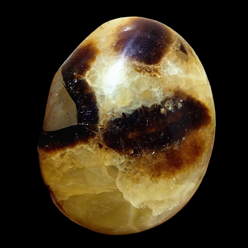 Hand holding a polished stone with brown and beige patterns against a white background