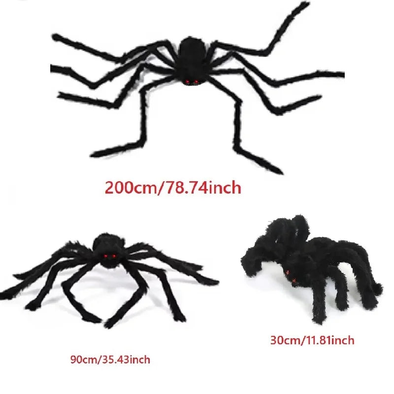 Three black spiders of different sizes with measurements on a white background