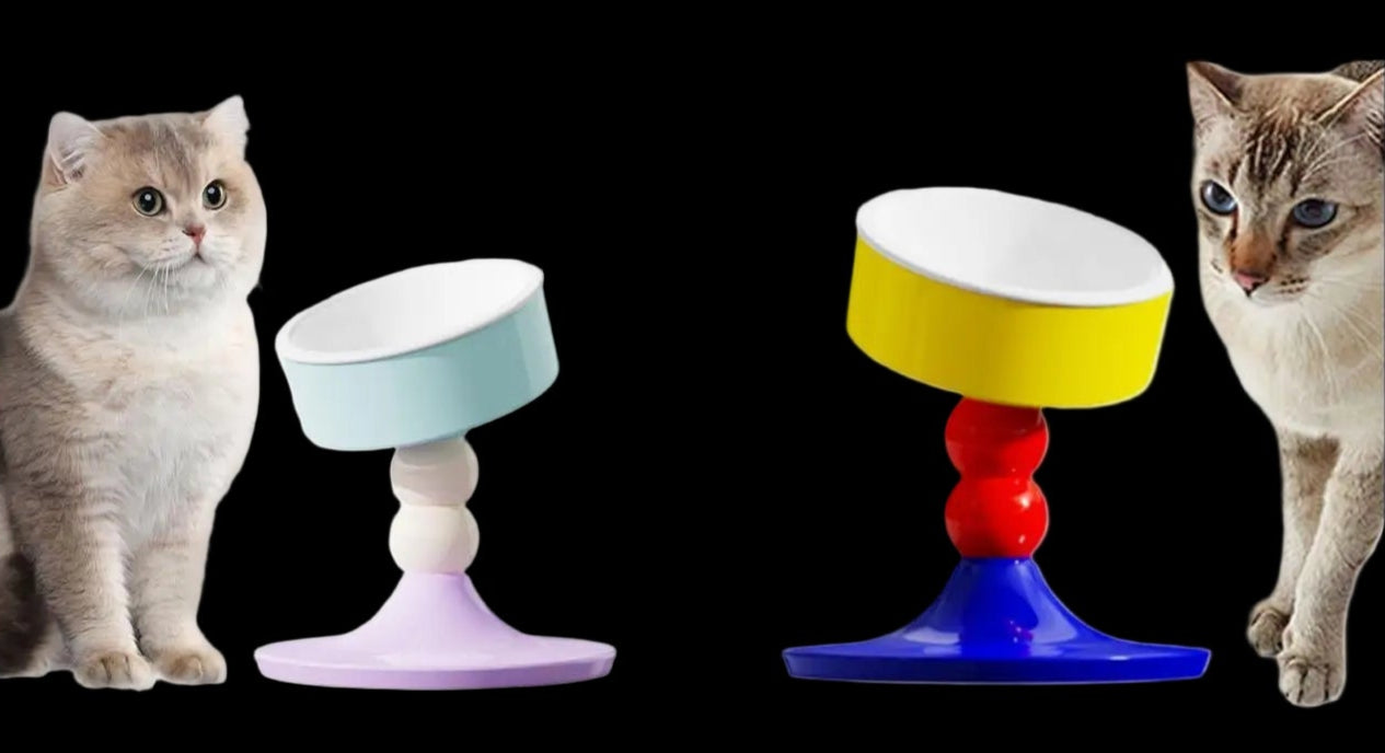 Colorful cat toy with two cats interacting with it on a white background