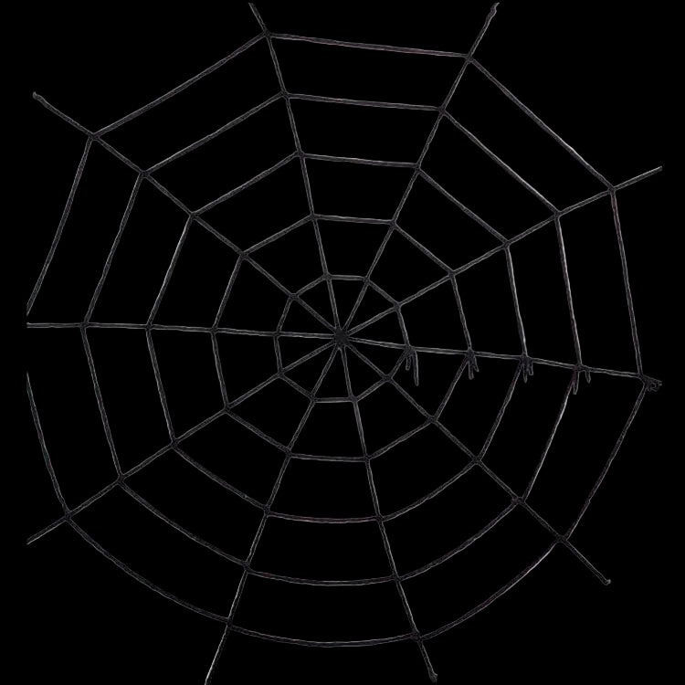 Black spider web on a white background