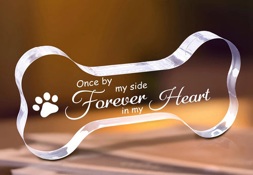 Clear acrylic dog bone-shaped sign with text and paw print on a blurred background